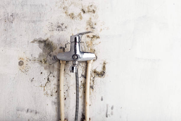 Best Office Mold Removal Services  in Saranac Lake, NY