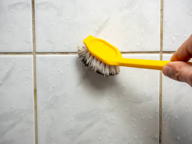 Best Affordable Mold Removal  in Saranac Lake, NY