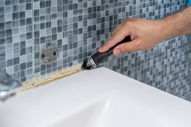 Best Residential Mold Removal  in Saranac Lake, NY
