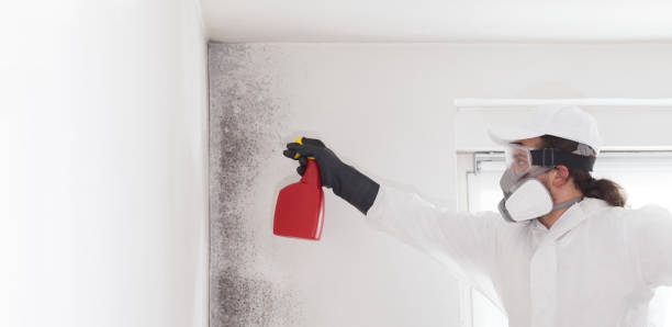 Best Emergency Mold Removal  in Saranac Lake, NY