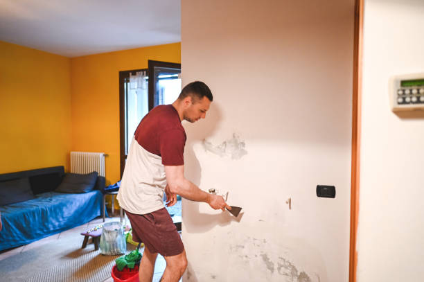 Best Toxic Mold Removal  in Saranac Lake, NY